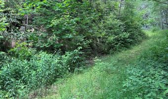 88 Acres Bolden Br, Andrews, NC 28901