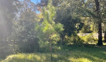 SW 134TH Avenue, Archer, FL 32618