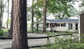 2166 Healing Springs Rd, Blackville, SC 29817