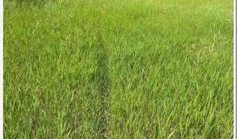 NNA Kokanee Rd, Bonners Ferry, ID 83805