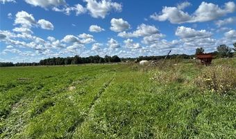 16465 Almont, Allenton, MI 48002