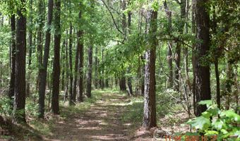 CAMERON ROAD, Bastrop, LA 71220