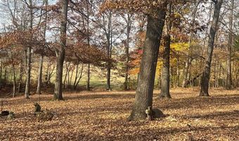 90 Dot Rd, Adairville, KY 42202