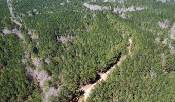 2 County Road 5112, Ethel, MS 38829