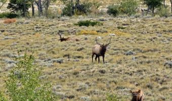 409 Tolman Rd, Clark, WY 82435