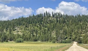 163 21 Ac Gray Ln, Cascade, ID 83611
