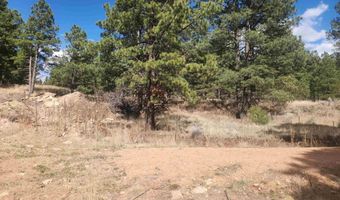 Alta lot 80, Angel Fire, NM 87710