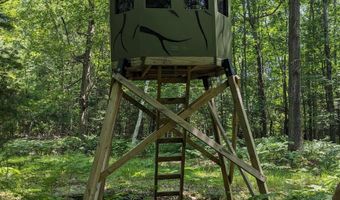 x Franklin Road, Alger, MI 48610