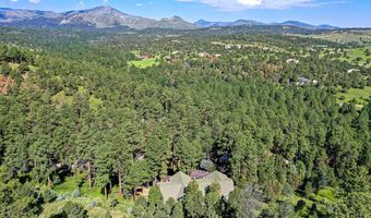 103 Woodpine Ct 2, Alto, NM 88312