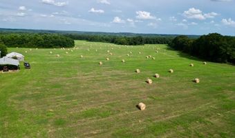 County Road 127, Banks, AL 36005