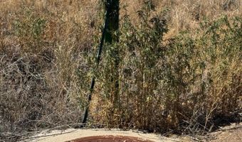 0 Tree Farm Ln, Chino Valley, AZ 86323