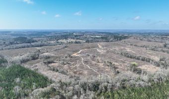919 County Road 6628, Banks, AL 36005