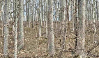 3938 Saint Clara Rd, Alum Bridge, WV 26321