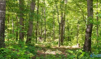 1 County Road 31, Ashland, AL 36251