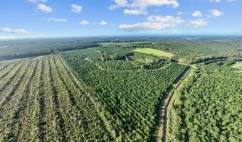 0 County Home Rd, Ayden, NC 28513