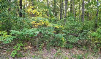 3 72 Acres County Road 14, Flat Rock, AL 35966