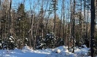 Sawyer Notch Road lot 045, Andover, ME 04216