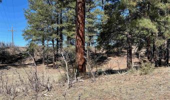 X County Rd 200, Pagosa Springs, CO 81147