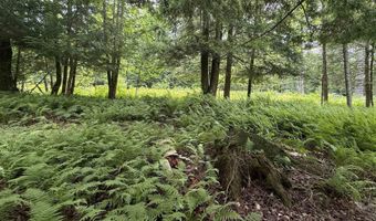 1386 Clif Reynolds Rd, Cambridge, VT 05444