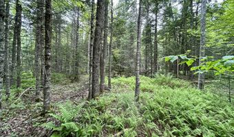 M5 L27-3 Marks Road, Albion, ME 04910