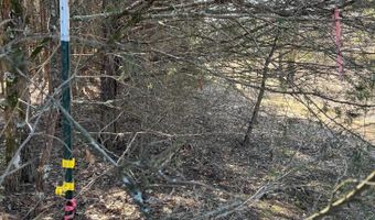 wells rd, Bald Knob, AR 72010