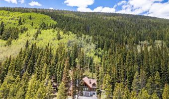 433 97 Cir, Blue River, CO 80424