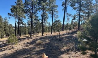 10 County Road 2193, Alpine, AZ 85920