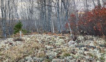 W McMann & Porcupine Hill Road lot 3, Addison, ME 04606