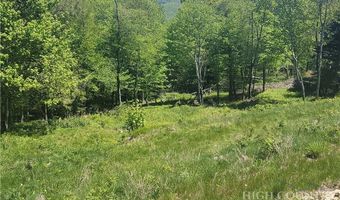 Foxfire Drive, Banner Elk, NC 28604