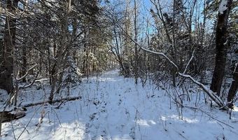 US-1 lot 10, Baring Plt, ME 04694