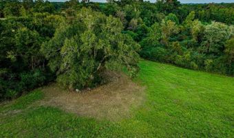 100 Acres Harmony Church Rd, Andalusia, AL 36421