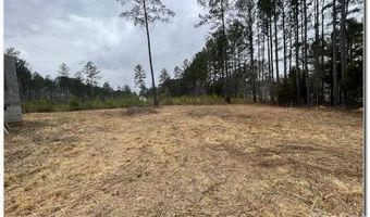 5166 Star Magnolia Ct, Clover, SC 29710