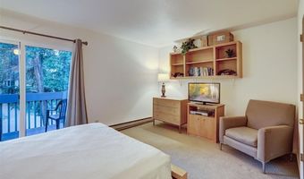 300 PRIMROSE Path 37, Breckenridge, CO 80424