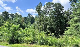 3 Winter Hawk Dr 1, Arden, NC 28704