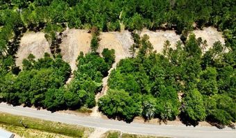 2 Acres Airport Rd Lot 3, Andalusia, AL 36421