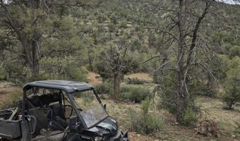 207 A Arizona Rd, Ash Fork, AZ 86320