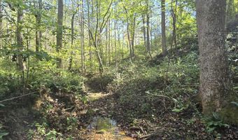 HURT HOLLOW RD, Banco, VA 22711