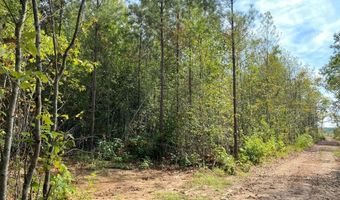 18 62 Ac Squirrell Hollow Rd, Alberta, VA 23821