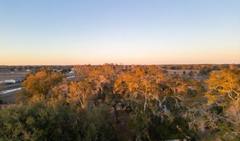 1720 SW 22nd Pl, Bell, FL 32619