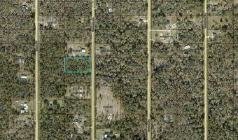 10255 WEATHERBY Ave, Hastings, FL 32145