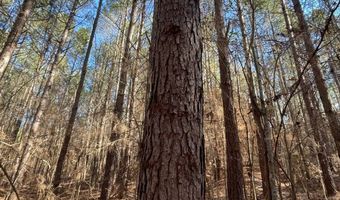 0 CR 437, Ashland, MS 38603