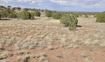 10 N9228, Concho, AZ 85924