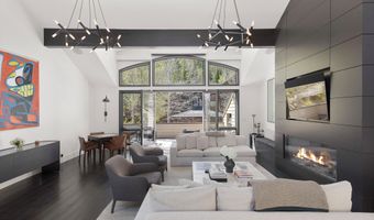 121 W Hyman Ave B, Aspen, CO 81611
