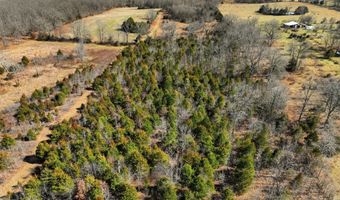 2479 County Road 304, Alton, MO 65606