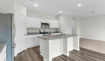 10644 Harlequinn Plan: Magellan, Adkins, TX 78101