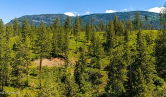 NNA This Way Rd Lot 3 20 Acres, Bonners Ferry, ID 83805