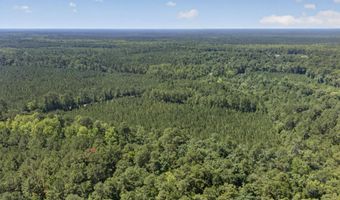 82 Acres Point Caswell Rd, Atkinson, NC 28421