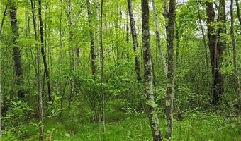 35270 Bear Creek Rd, Askov, MN 55704