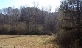 6608 Sand Valley Rd, Attalla, AL 35954