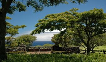 56-113 PUALANI Rd, Hawi, HI 96719